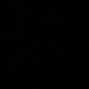 Meet your Posher, Jaylen